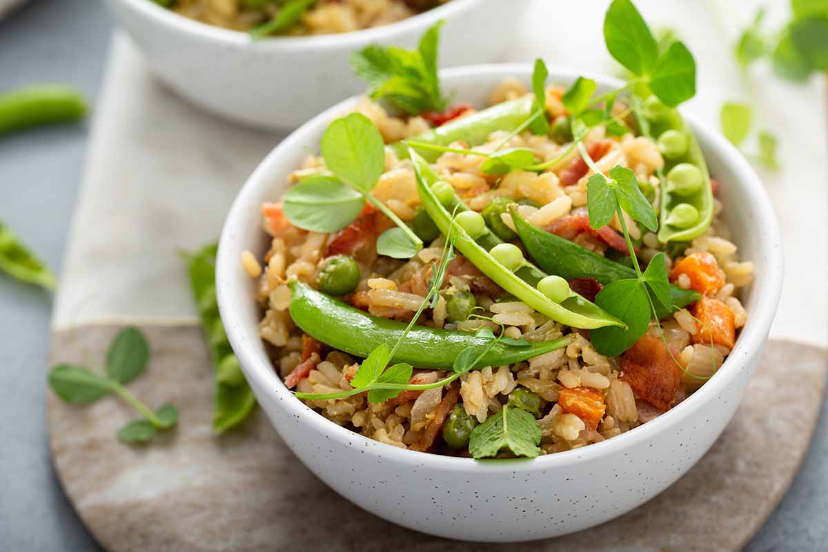 A horizontal photo of a bowl of rice with pea shoot garnishes on the top.
