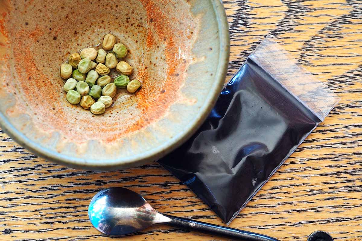 A close up horizontal image of a bowl with seeds soaking in water with a small packet of inoculant next to it on a wooden surface.