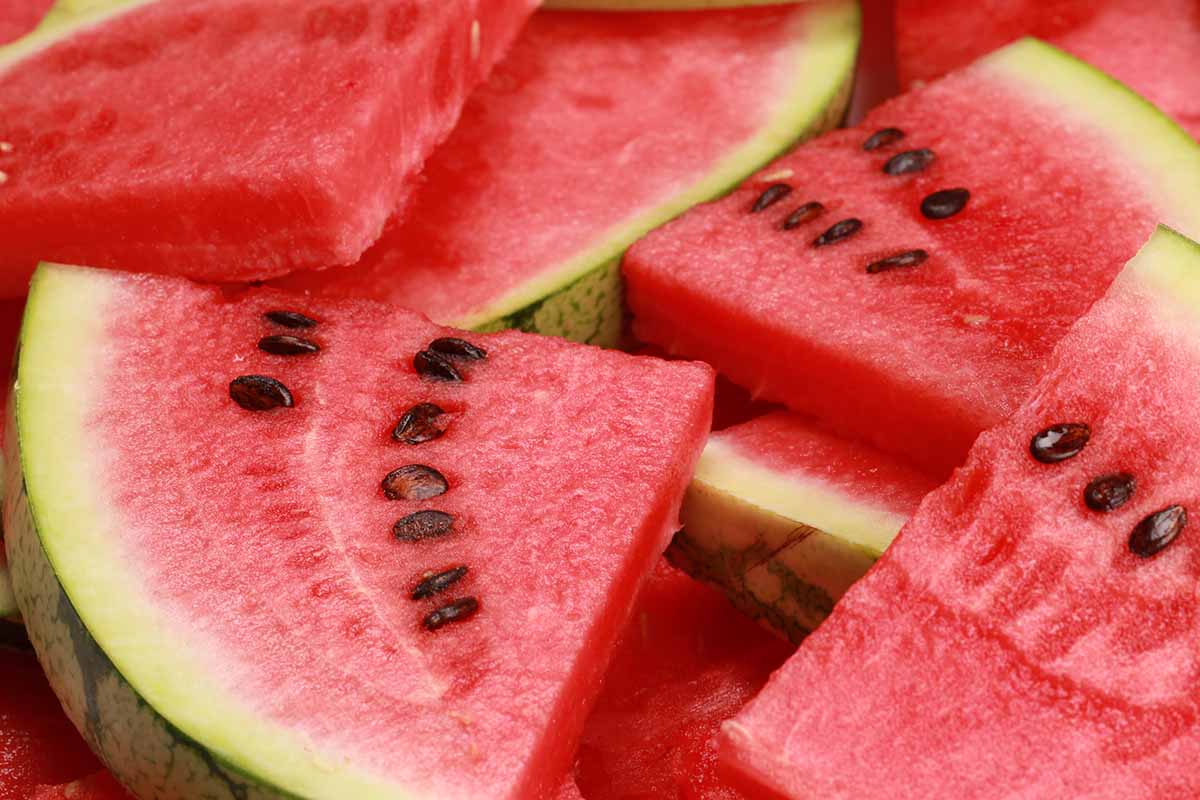 A horizontal photo of slices of watermelon on a plate.