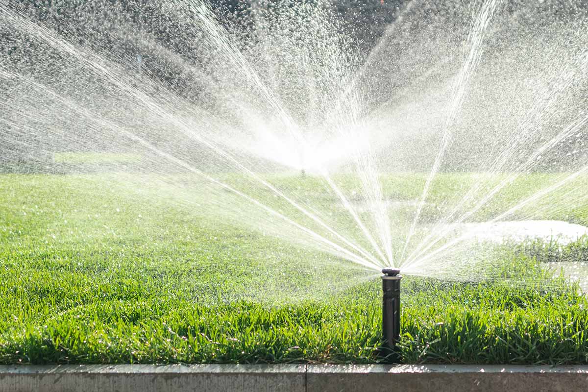 A horizontal image of a sprinkler irrigating turf pictured in bright sunshine.
