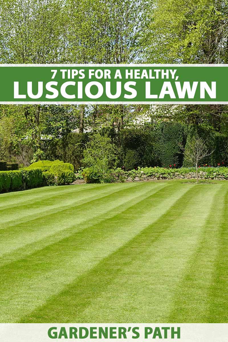 A vertical image of a luscious, healthy, well-manicured lawn with trees and shrubs in the background. To the top and bottom of the frame is green and white printed text.