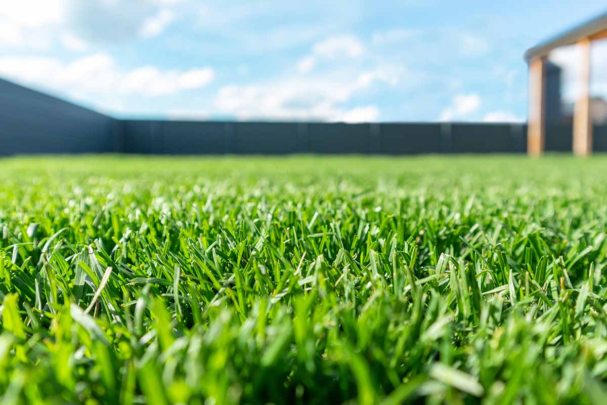 A horizontal image of a view over neatly trimmed grass with a fence and blue sky in soft focus in the background.