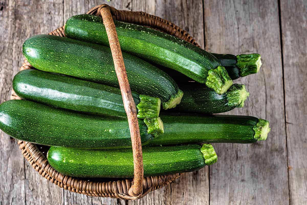 A horizontal photo of a wicker basket of fresh zucchini sitting on a wooden table shot from above.
