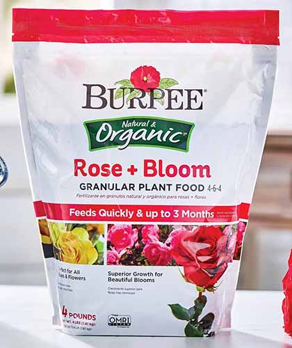 A close up of a bag of Burpee's Natural and Organic Rose and Bloom Granular Plant Food set on a white surface indoors.