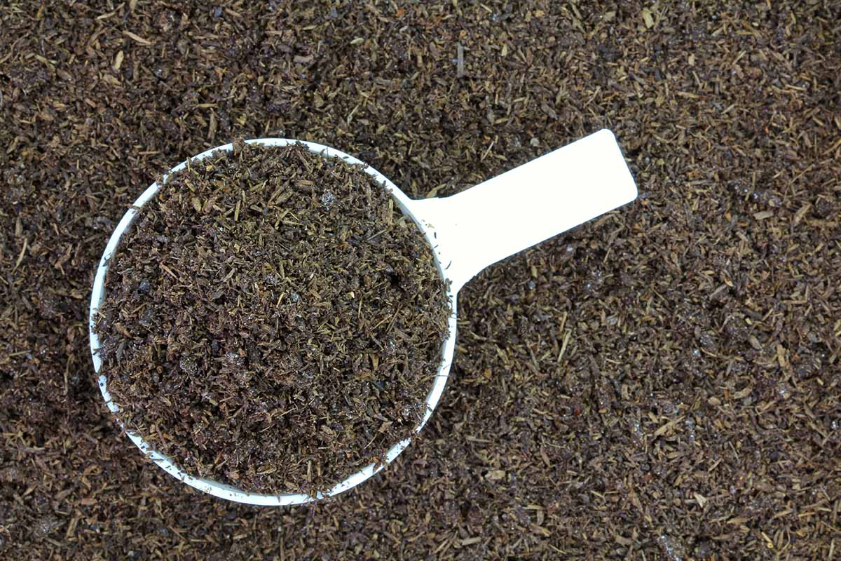 A close up horizontal image of a scoop in a pile of dried worm castings.