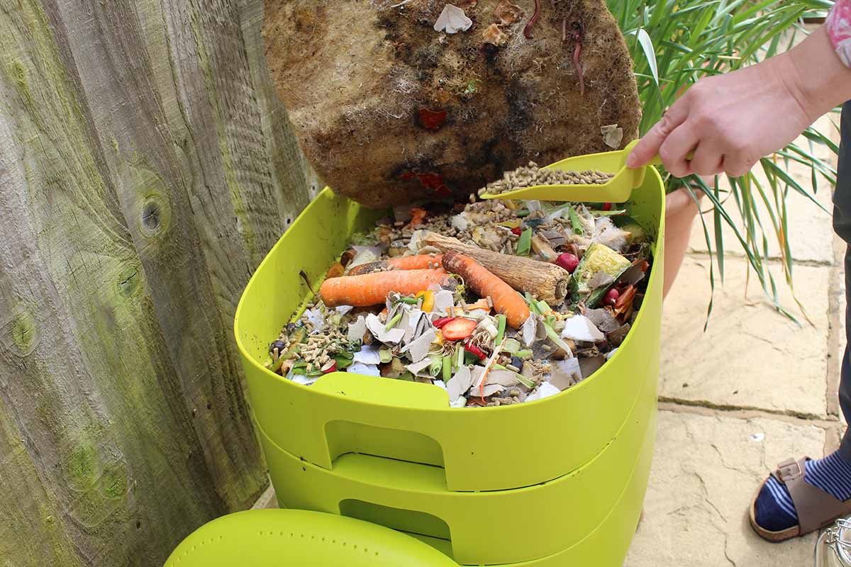 A close up horizontal image of a gardener placing food waste into a vermicomposting bin.