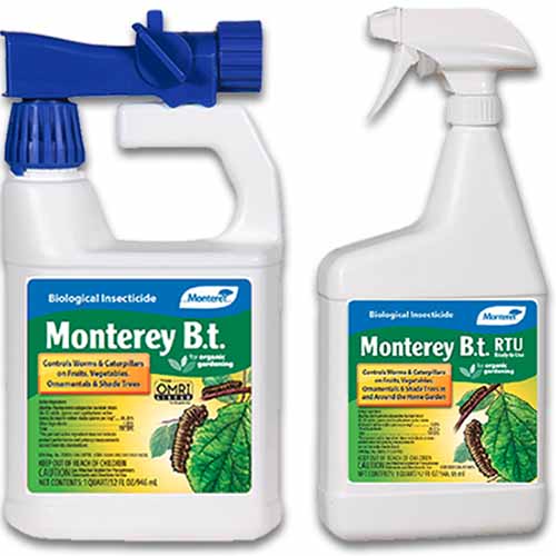 A close up of two bottles of Monterey Bt isolated on a white background.