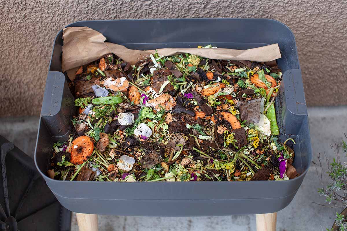 A close up horizontal image of a vermicompost bin filled with food scraps.