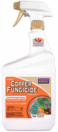 A vertical product shot of a bottle of Bonide Copper Fungicide against a white background.