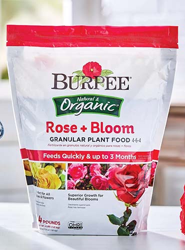 A close up of a bag of Burpee Organic Rose and Bloom Granular Plant Food set on a white surface indoors.