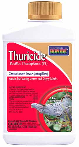 A close up of a bottle of Bonide Thuricide isolated on a white background.