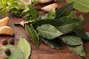 A close up horizontal image of aromatic fresh bay leaves on a wooden chopping board with garlic and other spices.