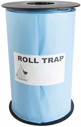 A close up of a blue roll trap isolated on a white background.