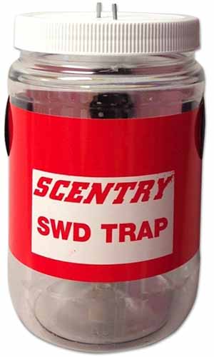 A close up of a Scentry SWD Trap pictured on a white background.