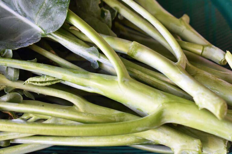 How to Grow Chinese Broccoli | Gardener’s Path