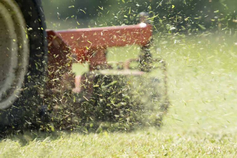 Winter Lawn Care: 11 Essential Tips for Healthy Grass
