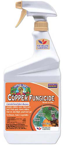 A close up of a spray bottle of Bonide Copper Fungicide isolated on a white background.