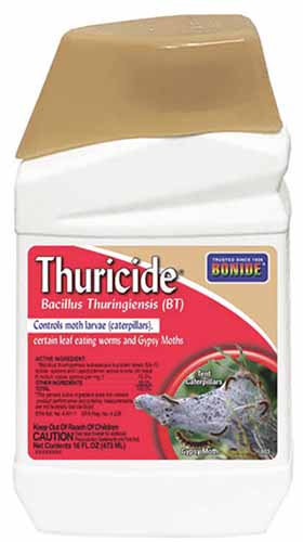 A close up of a small bottle of Bonide Thuricide isolated on a white background.