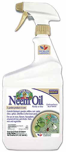 A close up of a spray bottle of Bonide Neem Oil isolated on a white background.