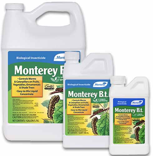 A close up of three bottles of Monterey BT isolated on a white background.