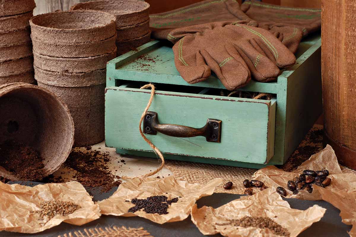 A close up of a small rustic green cabinet surrounded by baking paper containing seeds ready for planting. To the left of the frame are some biodegradable seed starting pots and a pair of gloves.