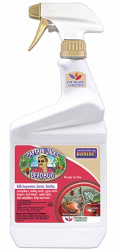 A close up of a bottle of Bonide Captain Jack's Deadbug Brew isolated on a white background.