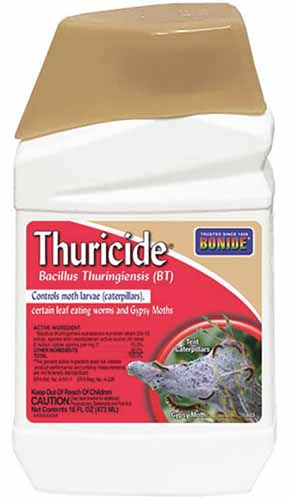 A close up of a bottle of Bonide Thuricide isolated on a white background.