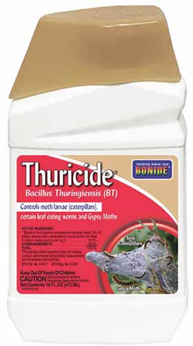A close up of a bottle of Bonide Thuricide isolated on a white background.