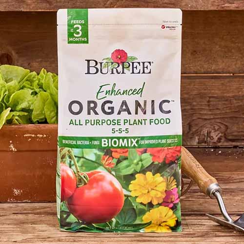 A square image of Burpee Enhanced Organic Plant Food set on a wooden surface.