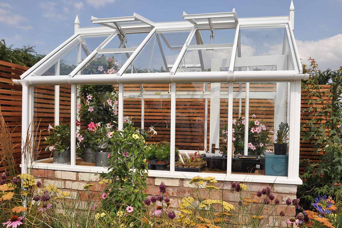 A close up horizontal image of a greenhouse with vines growing around the outside to provide shade.
