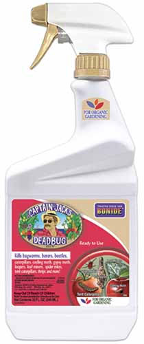 A close up of a spray bottle of Bonide Captain Jack's Deadbrew isolated on a white background.