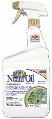 A close up of a spray bottle of Bonide Neem Oil isolated on a white background.