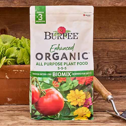 A close up of a bag of Burpee Enhanced Organic All Purpose Plant Food on a wooden surface.