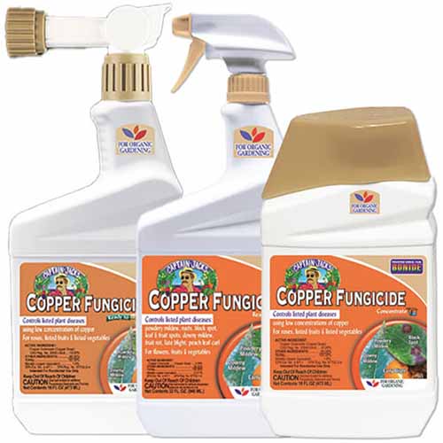 A close up of three bottles of Bonide Copper Fungicide isolated on a white background.