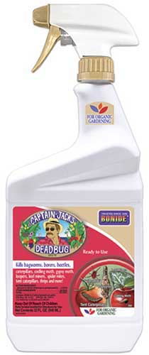 A close up of a spray bottle of Captain Jack's Deadbug Brew isolated on a white background.