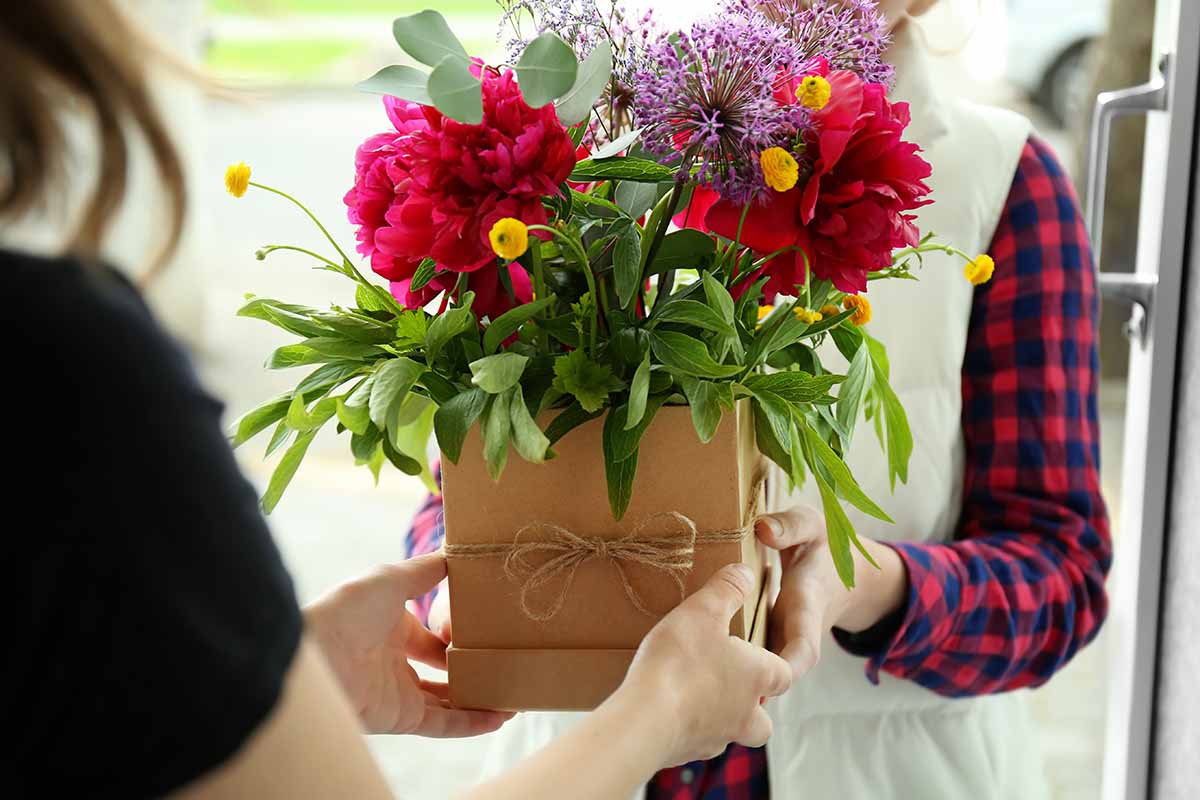 A horizontal image of a delivery of fresh blooms packaged in a cardboard container.