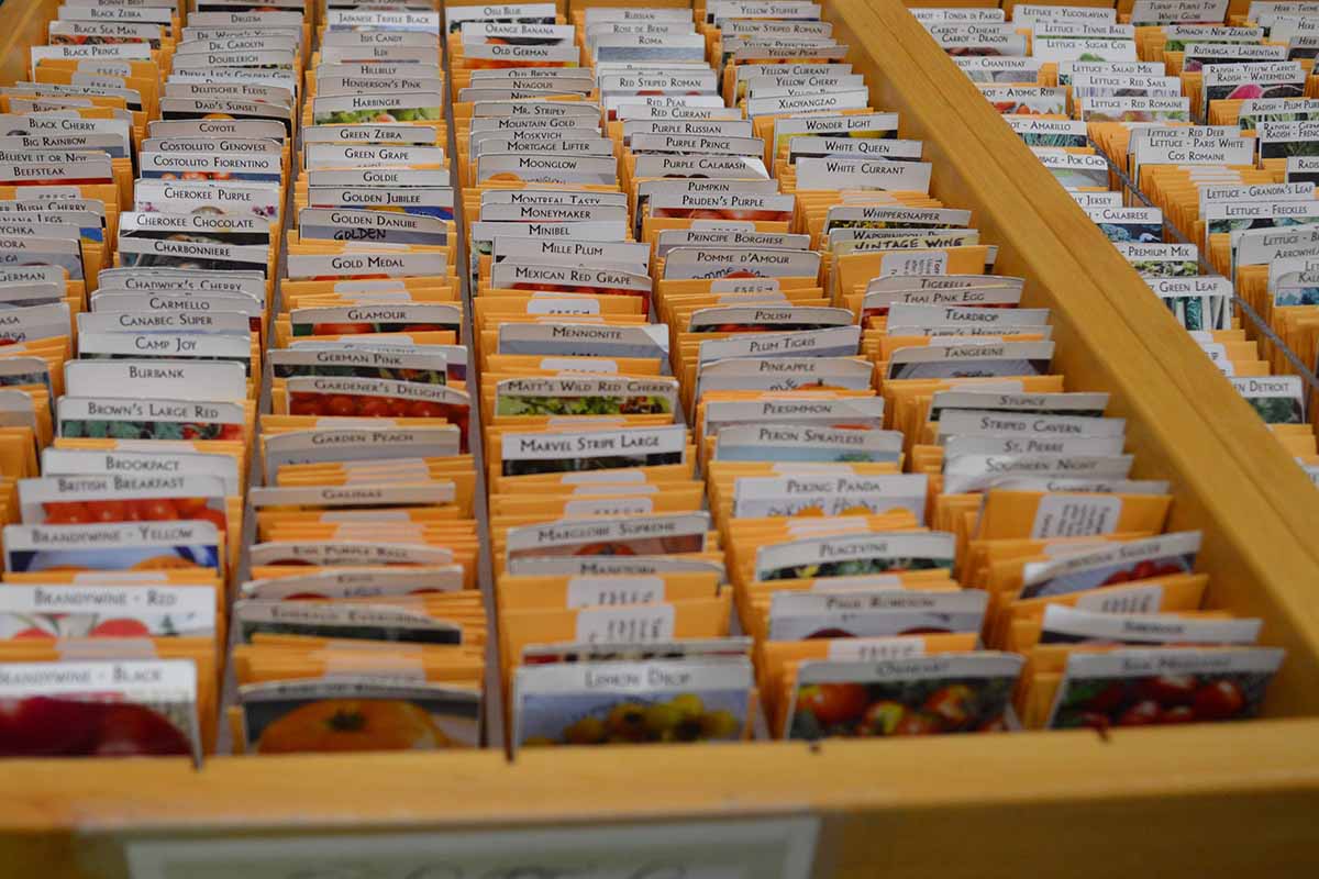 A close up horizontal image of a drawer containing a selection of heirlooms in small, labelled packets.
