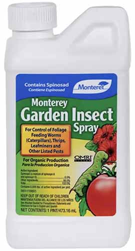 A close up of a bottle of Monterey Garden Insect Spray isolated on a white background.