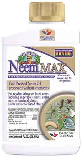 A close up of a bottle of Bonide Neem Max isolated on a white background.