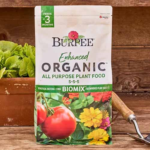 A close up square image of a bag of Burpee Enhanced All Purpose Plant Food set on a wooden surface.