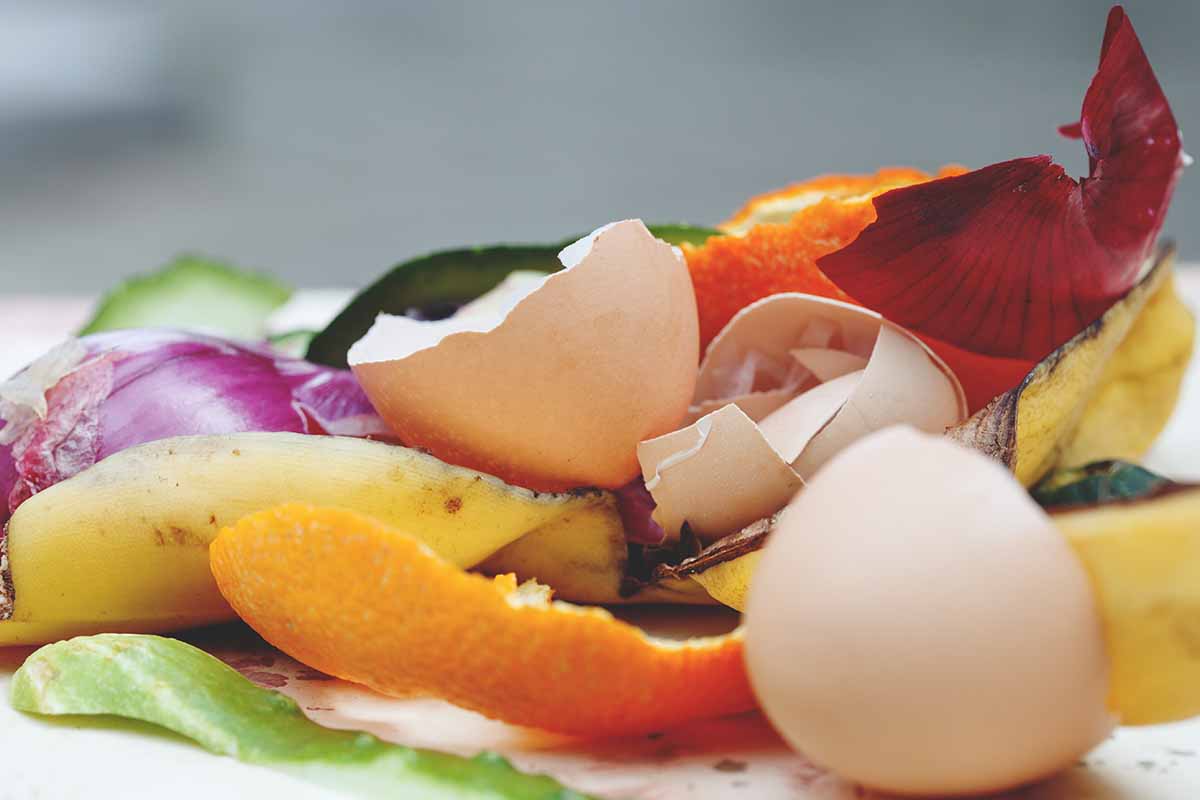 A close up of kitchen food waste ready to place on the compost pile.