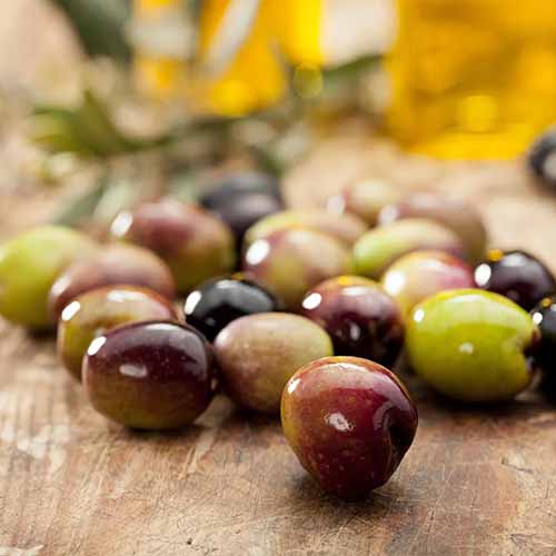 A close up square image of 'Leccio' fruits on a wooden surface.