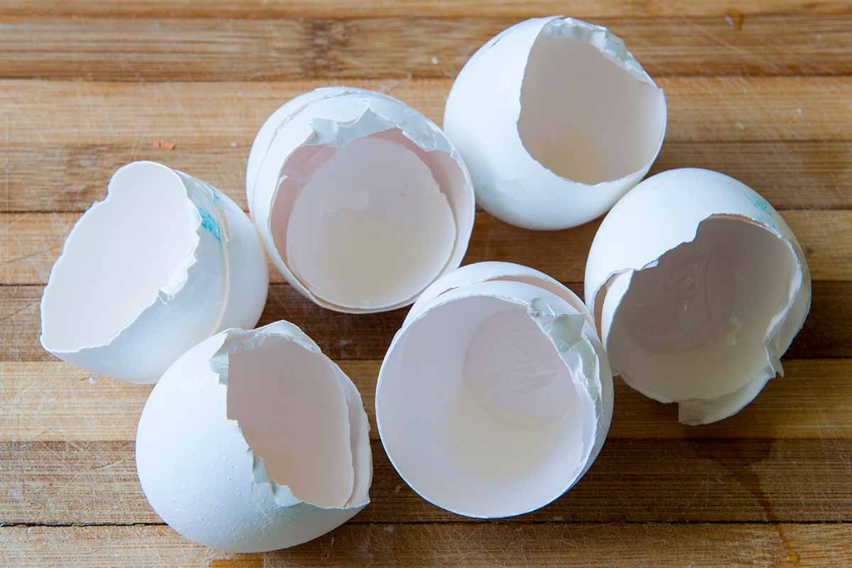 A close up of bright white eggshells, still with some of the albumen inside them set on a rustic wooden surface.