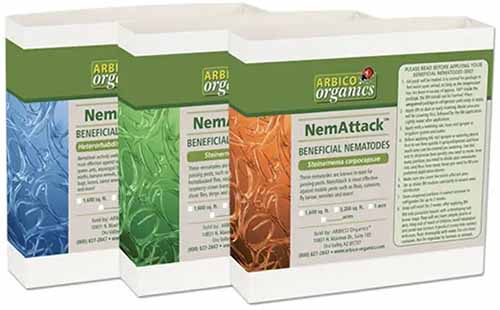 A close up of the packaging of NemAttack triple threat beneficial nematodes isolated on a white background.