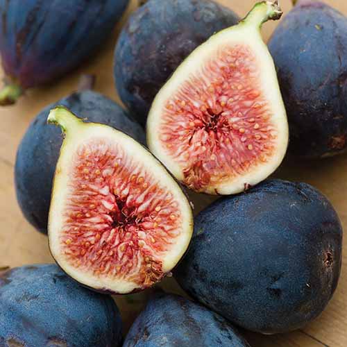 A close up of whole and sliced 'Black Mission' figs set on a wooden surface.