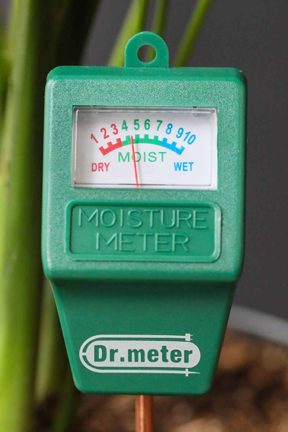 A close up vertical image of a hygrometer taking a reading of the water level in the potting medium of a houseplant pictured on a soft focus background.