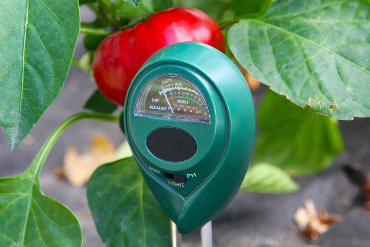 A close up horizontal image of a hygrometer in the vegetable garden.