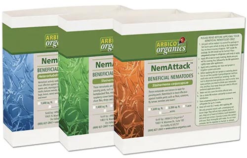 A close up of the packaging of Triple Threat Nemattack beneficial nematodes isolated on a white background.