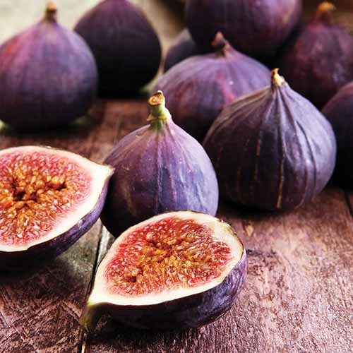 A square image of deep purple 'Violette de Bordeaux' figs set on a wooden surface some whole and one cut in half.