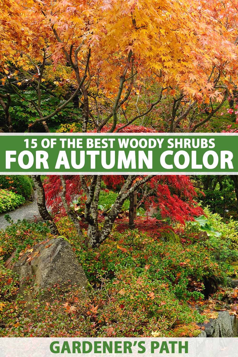 A vertical image of fall colors in the garden. To the center and bottom of the frame is green and white printed text.